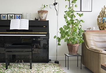 foto1_20171129095358